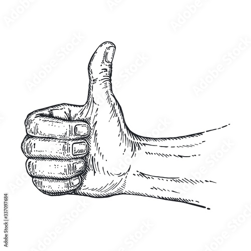 Thumbs up symbol in sketch style. Hand gesture showing symbol Like. Making a thumb up gesture. Liner drawn sketch on isolated background for poster, logo, web, retro card design. Vector illustration