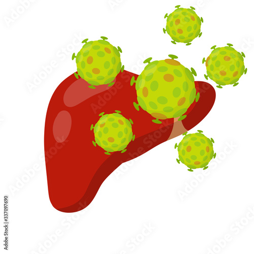 Bad liver. Attack germs and cirrhosis of the liver. Health problem. Medical Disease of human internal organ