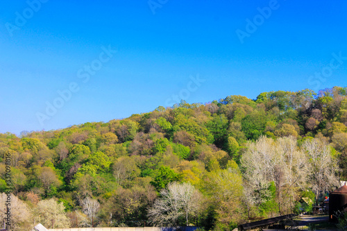 Mountain covered with forests of green trees against a blue sky