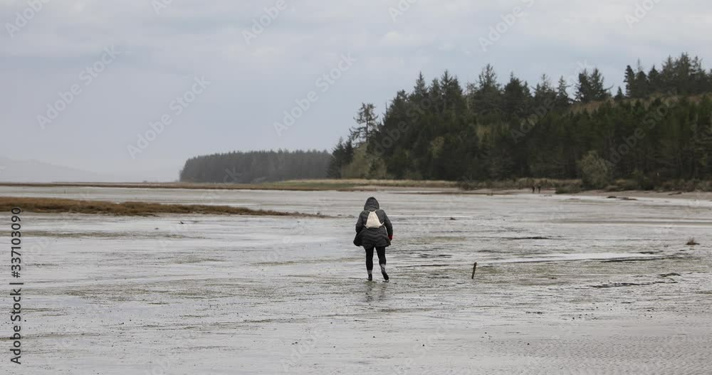 Woman combing Northwest beach Woman combing Northwest beach