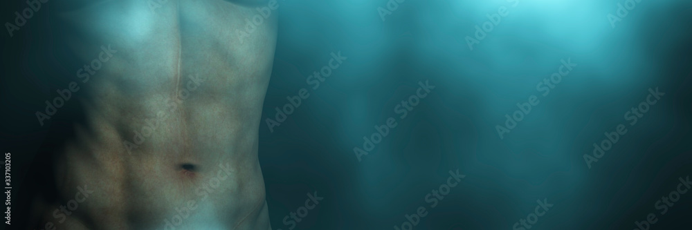 Fototapeta premium model of human body parts