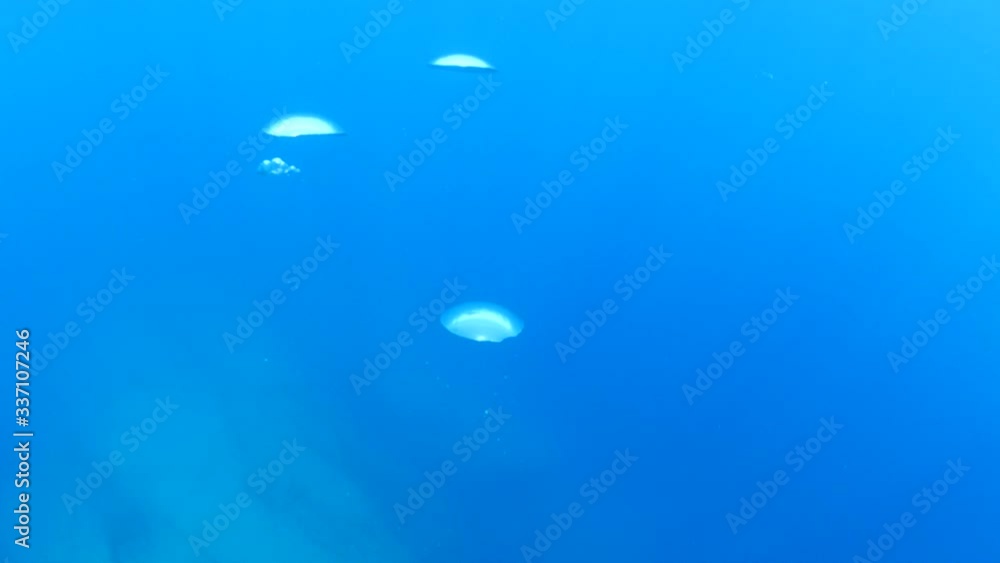 air bubbles coming up to the surface from scuba divers with sun beams and rays air bubbles coming up to the surface from scuba divers with sun beams and rays