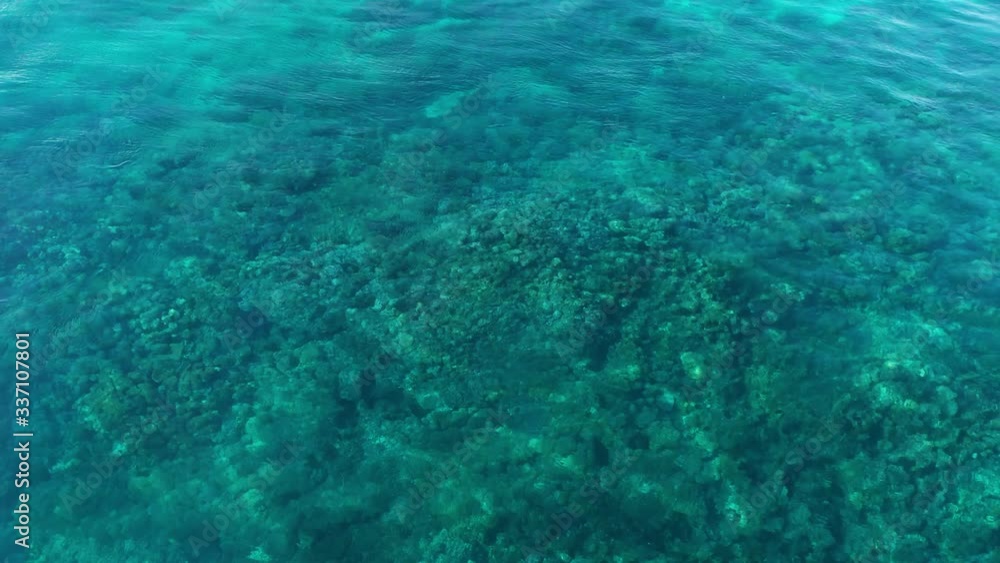 Beautiful corals under the blue waves of Fiji - aerial Beautiful corals under the blue waves of Fiji - aerial
