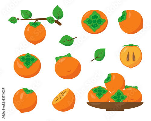 Persimmon set isolated on white background.