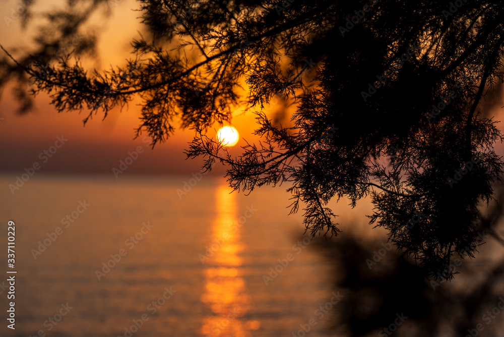 Blur abstract sunset over sea with sun, trees silhouette and the blurred background Blur abstract sunset over sea with sun, trees silhouette and the blurred background