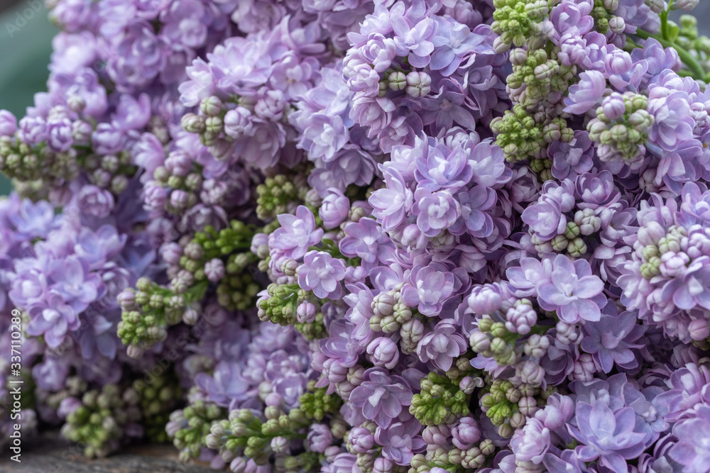 close-up of lilacs on an old wooden table