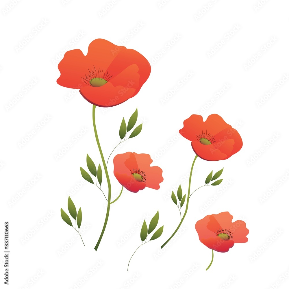 Red poppies. Poppy wreath. Wildflowers. Summer is coming. Vector illustration in flat style. Set of floral elements for design and decoration.