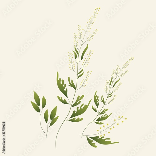  Wildflowers. Bouquets of lavender  ornamental foliage. Vector flowers in flute style. Design for wedding and print products. Design elements for canvas.