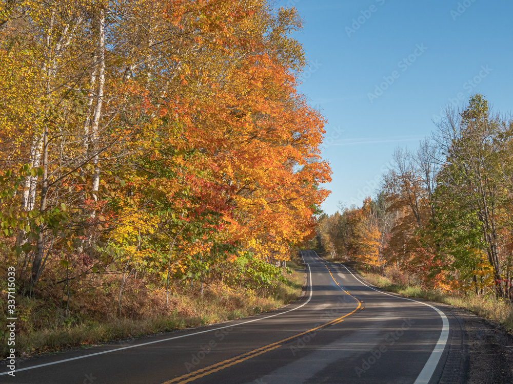 Colorful yellow and orange leaves line a two-lane road winding through the northern woods on a sunny fall day in the United States.
