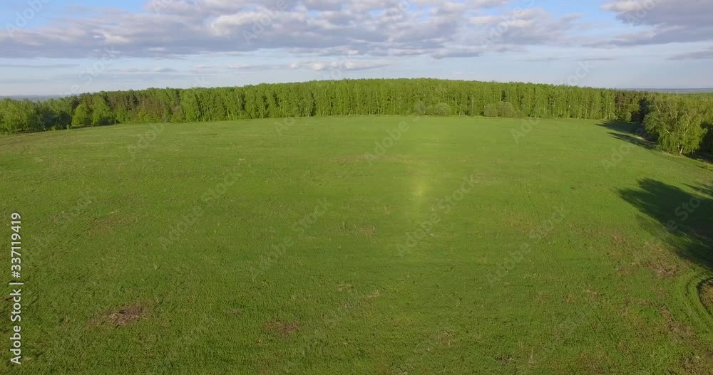Aerial spring shooting.Flight of the camera over a green flat field.Ahead is a dense forest Aerial spring shooting.Flight of the camera over a green flat field.Ahead is a dense forest