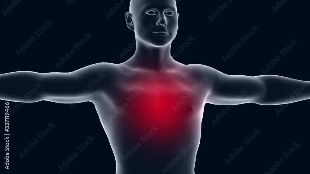 3d animation human body, healthcare and medical topics. 3d animation human body, healthcare and medical topics.