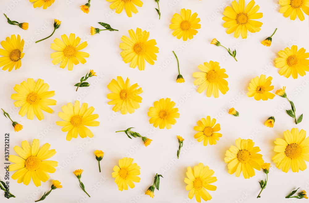 Obraz premium Spring or summer background. yellow flowers. composition yellow calendula. Top view. Flat lay.