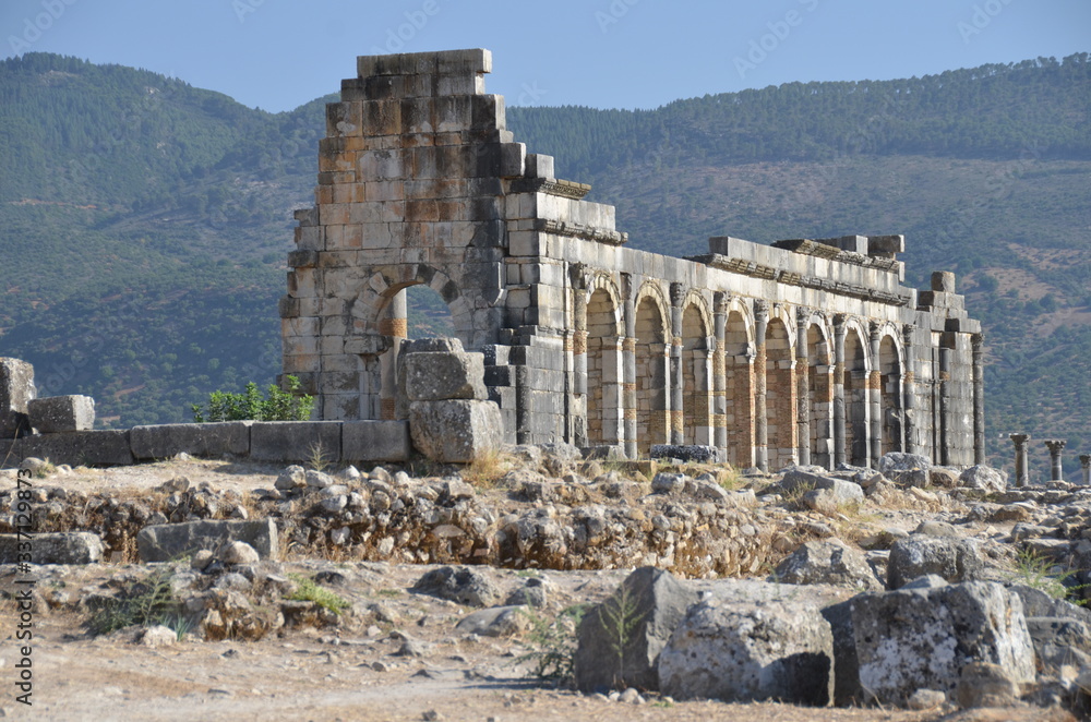 Obraz premium Roman Ruins Volubilis Morocco