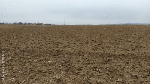 Fotografie Oilcake remaining after harvesting corn on the ground