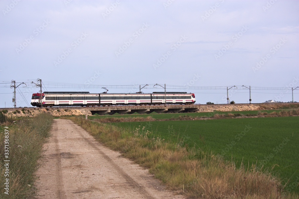 A commuter train crosses a rice growing area A commuter train crosses a rice growing area