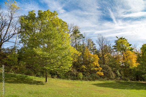 Beautiful autumn view of Kelso conservation area