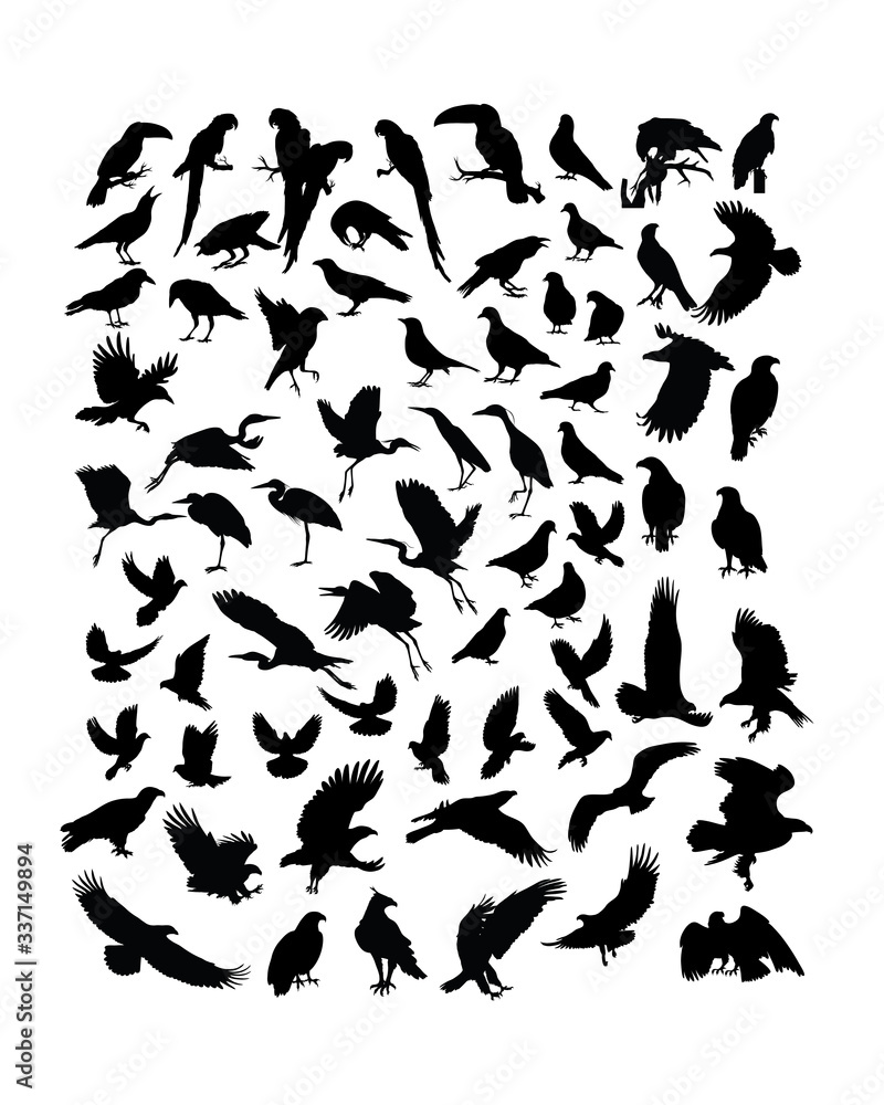 Bird Animal Activity Silhouettes, art vector design Bird Animal Activity Silhouettes, art vector design