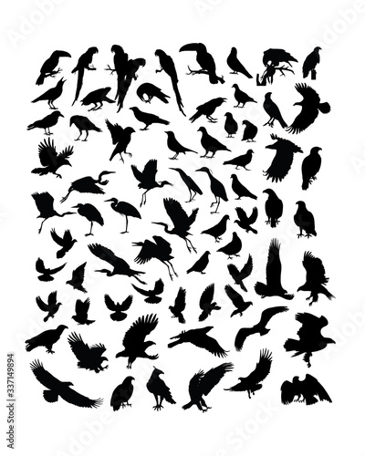 Bird Animal Activity Silhouettes  art vector design