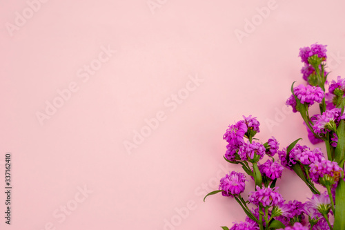 Beautiful purple gerbera flowers with copy space