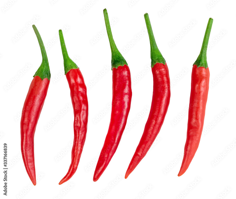 chili pepper isolated on white background chili pepper isolated on white background