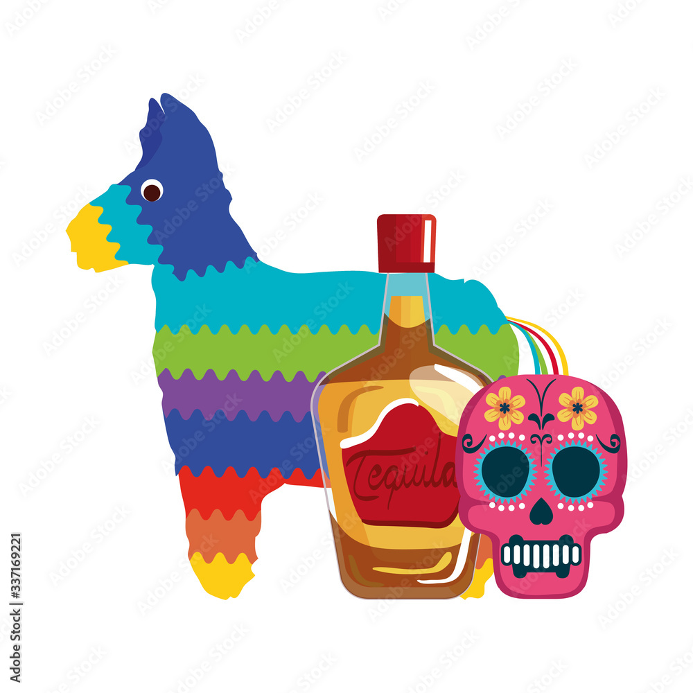 Mexican tequila bottle pinata and skull design, Mexico culture tourism  landmark latin and party theme Vector illustration vector de Stock | Adobe  Stock