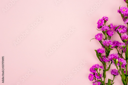 Closeup of purple gerbera flowers with copy space