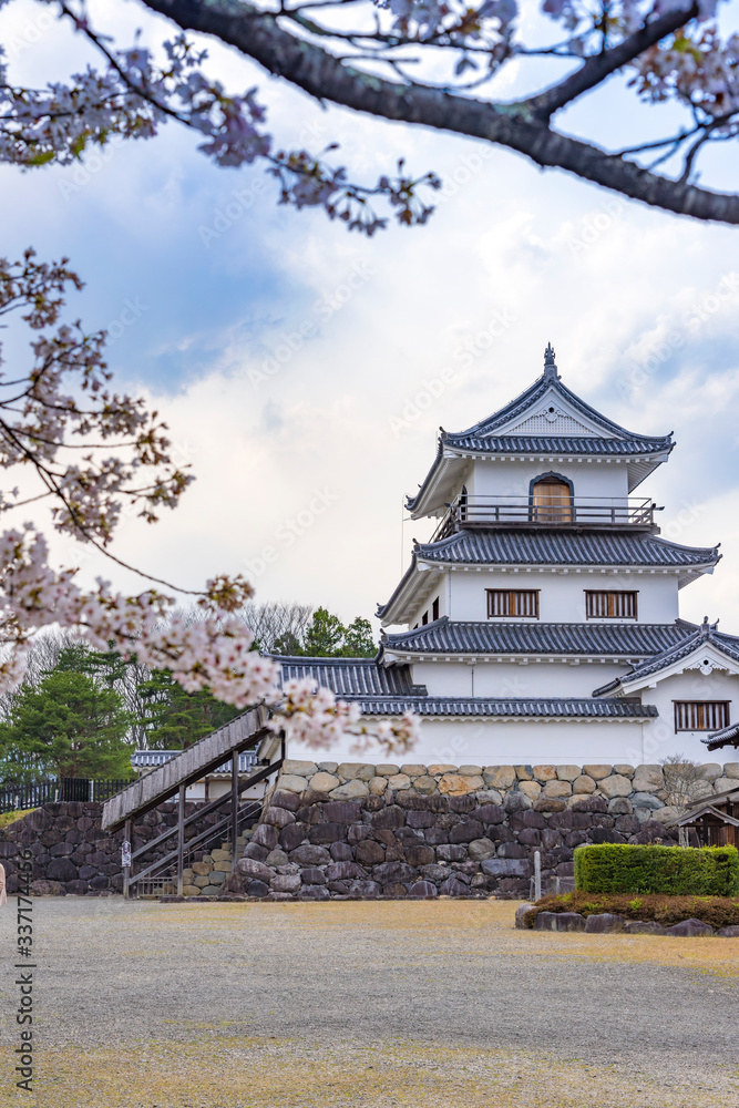 Fototapeta premium 宮城 白石城と桜