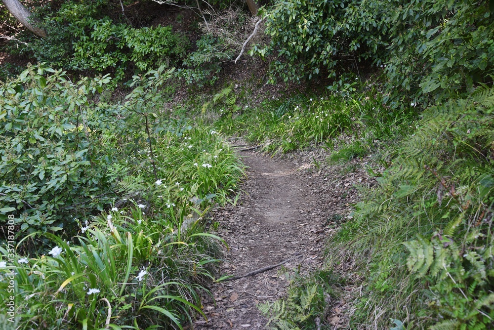 Obraz premium The narrow mountain path in early spring.