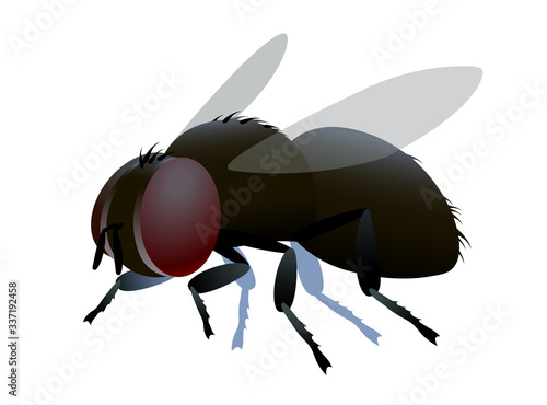 single dirty brown ugly dung fly with bristles & faceted eyes, logo or emblem, infection symbol, color vector illustration isolated on a white background in cartoon or clip art style