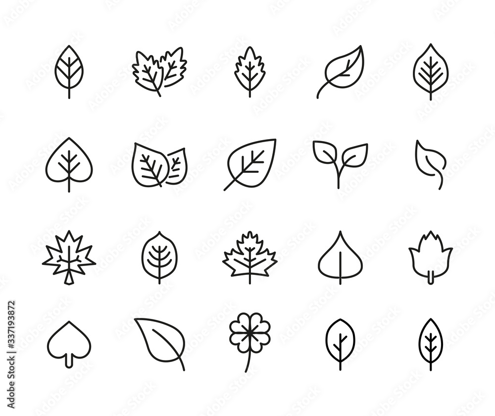 Fototapeta Icon set of leaf.