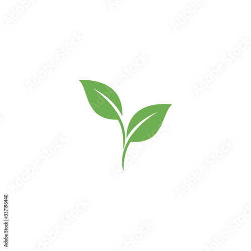 Leaf Logo Template vector symbol