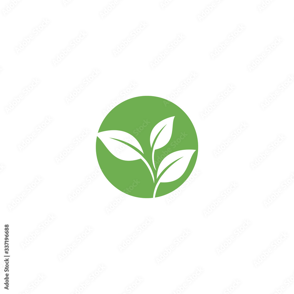 Leaf Logo Template vector symbol