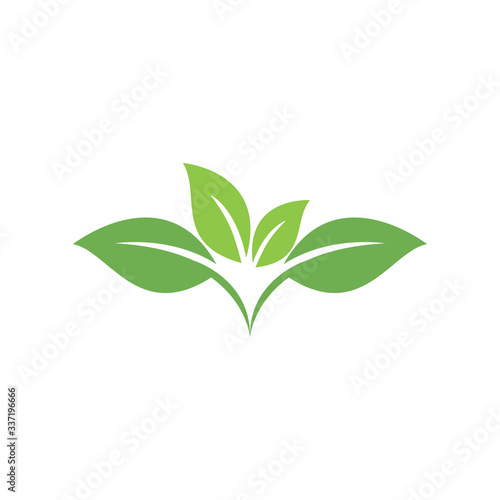 Fototapeta Naklejka Na Ścianę i Meble -  Leaf Logo Template vector symbol