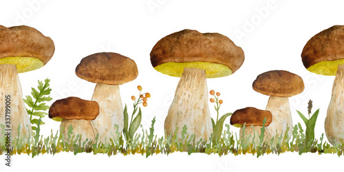 Hand drawn watercolor seamless horizontal border illustration of porcini cep edible boletus mushroom. Forest wood woodland esign. Wild raw healthy organic ingridient. Autumn summer mushrooming. King photo