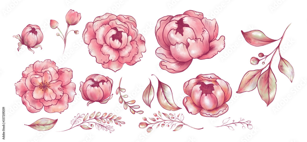 Naklejka Pink flowers stylization, Peonies, sakura, apple tree, rose, Illustration procreate, Business card, Postcard, Copy space, Isolated on white