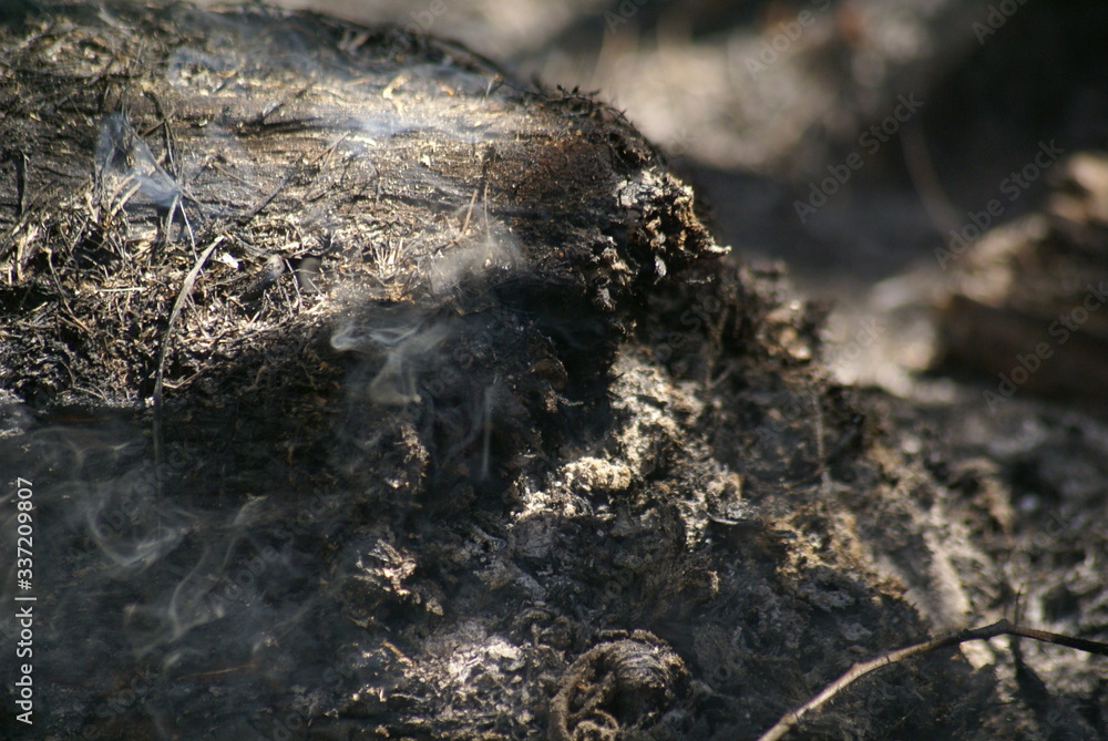 Obraz premium SONY DSC