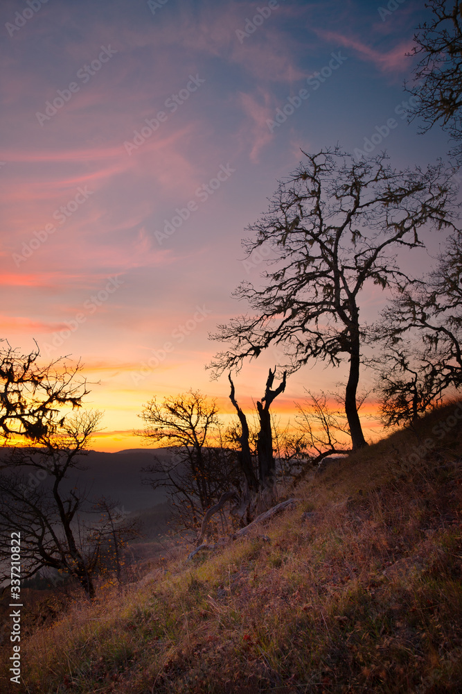 Sunset in the Bald Hills of Northern California Sunset in the Bald Hills of Northern California