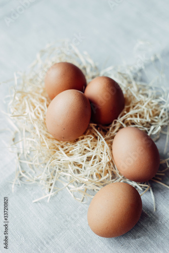 easter chicken brown eggs