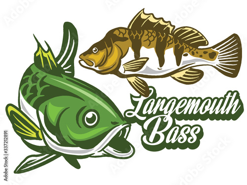 Illustration of a bass with fins, tail and open mouth
