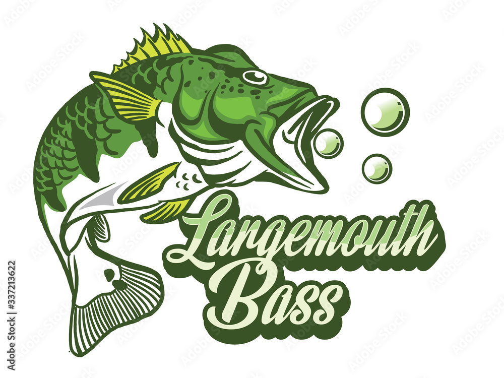 Illustration of a bass with fins, tail and open mouth Illustration of a bass with fins, tail and open mouth
