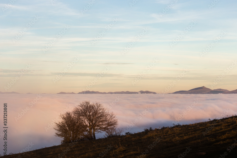 Obraz premium A tree silhouette above a sea of fog and mountains with snow at the distance