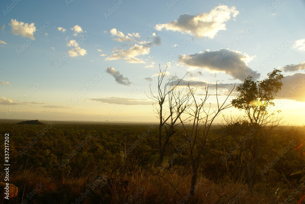 Obraz premium SONY DSC