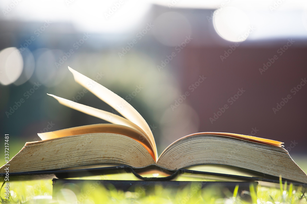 Fototapeta premium Open book in green grass.