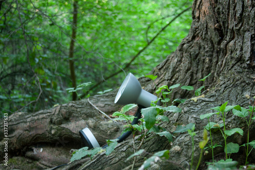 Lamp in the forest