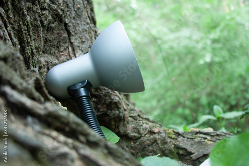 Lamp in the forest