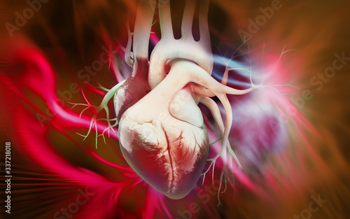 human heart 3d illustration in digital background