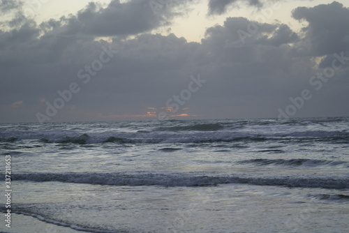 SONY DSC