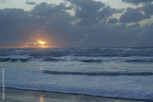 SONY DSC