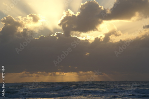 SONY DSC
