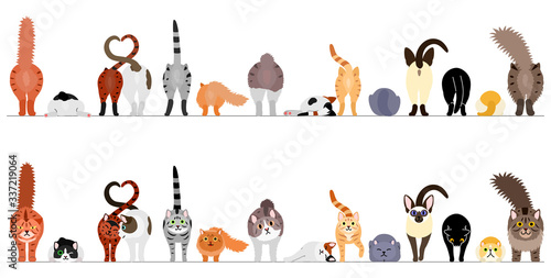 various cute cats border in a row, front view and rear view